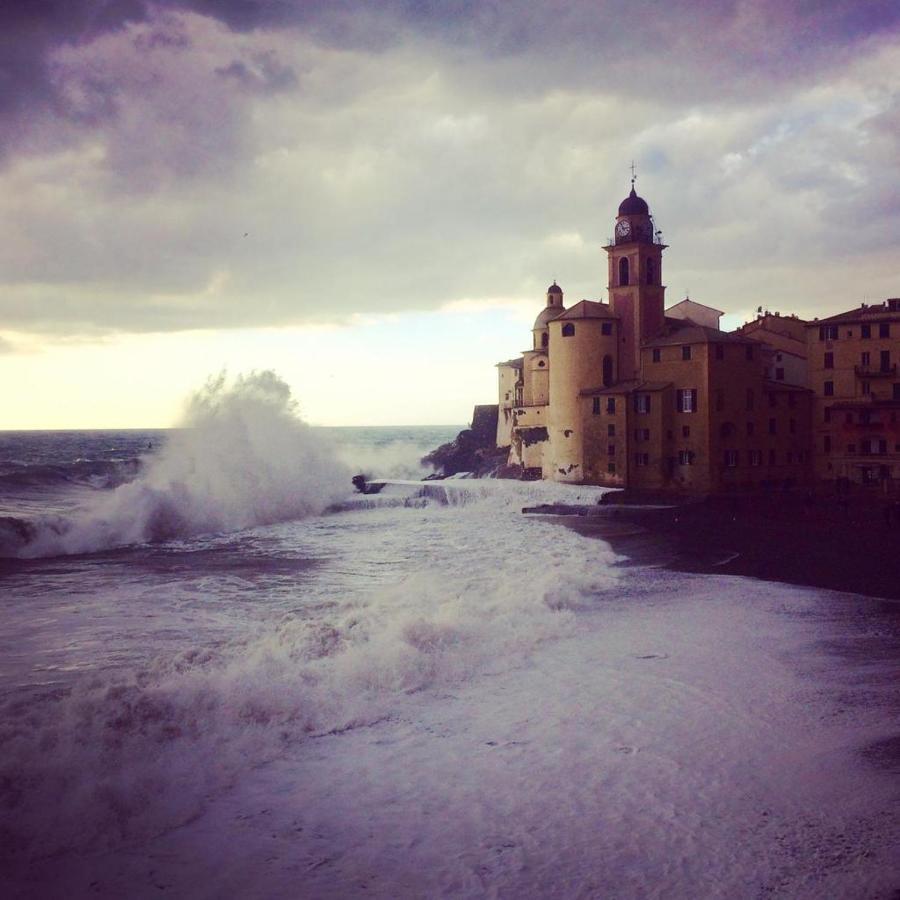 La Casa Della Fiore Camogli Extérieur photo